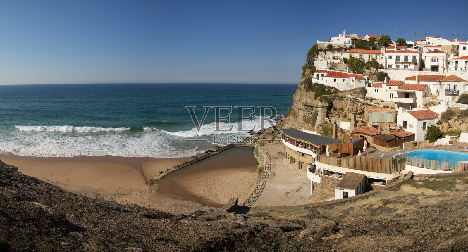 海百合照片摄影图片