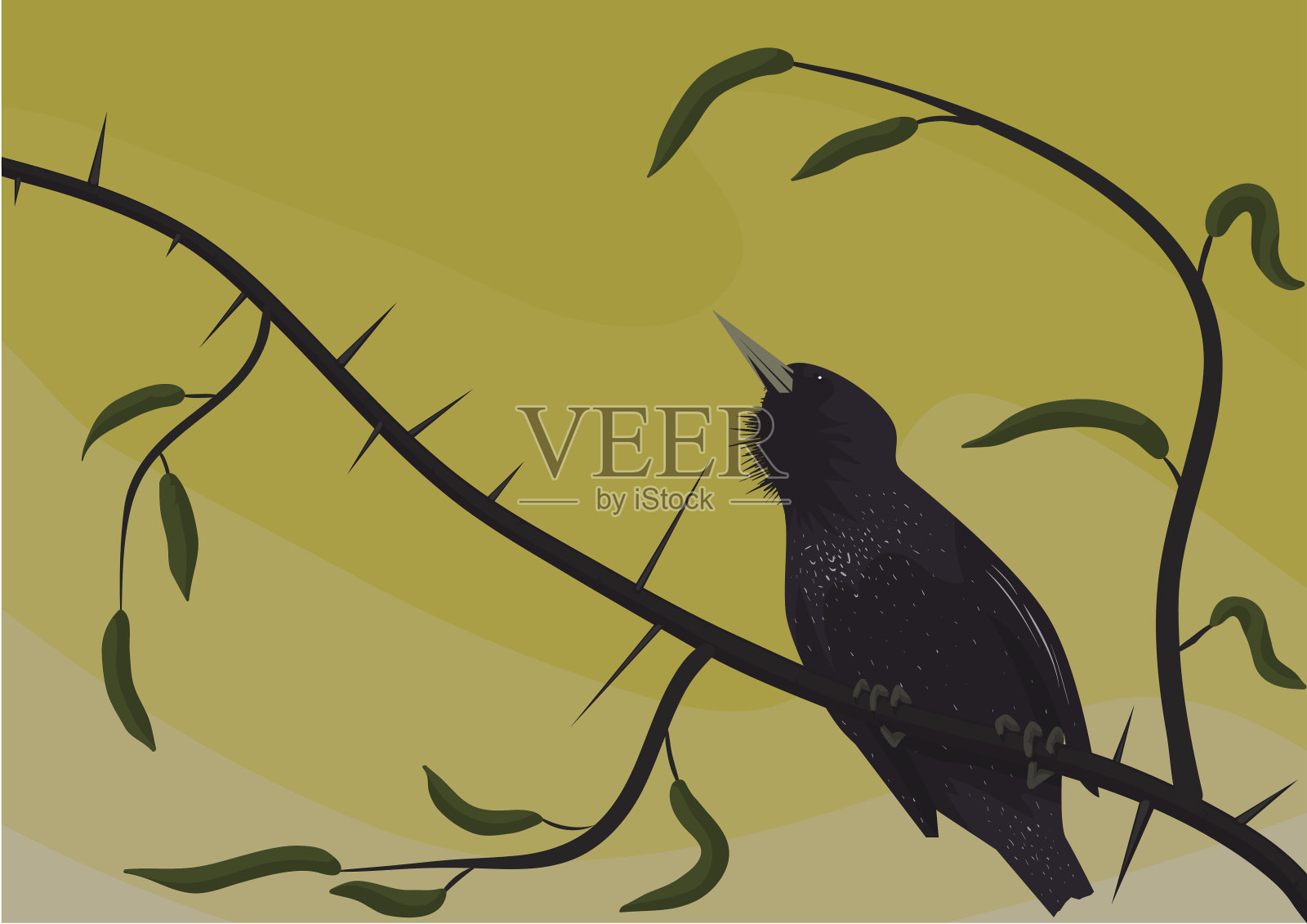 燕八哥插画图片素材