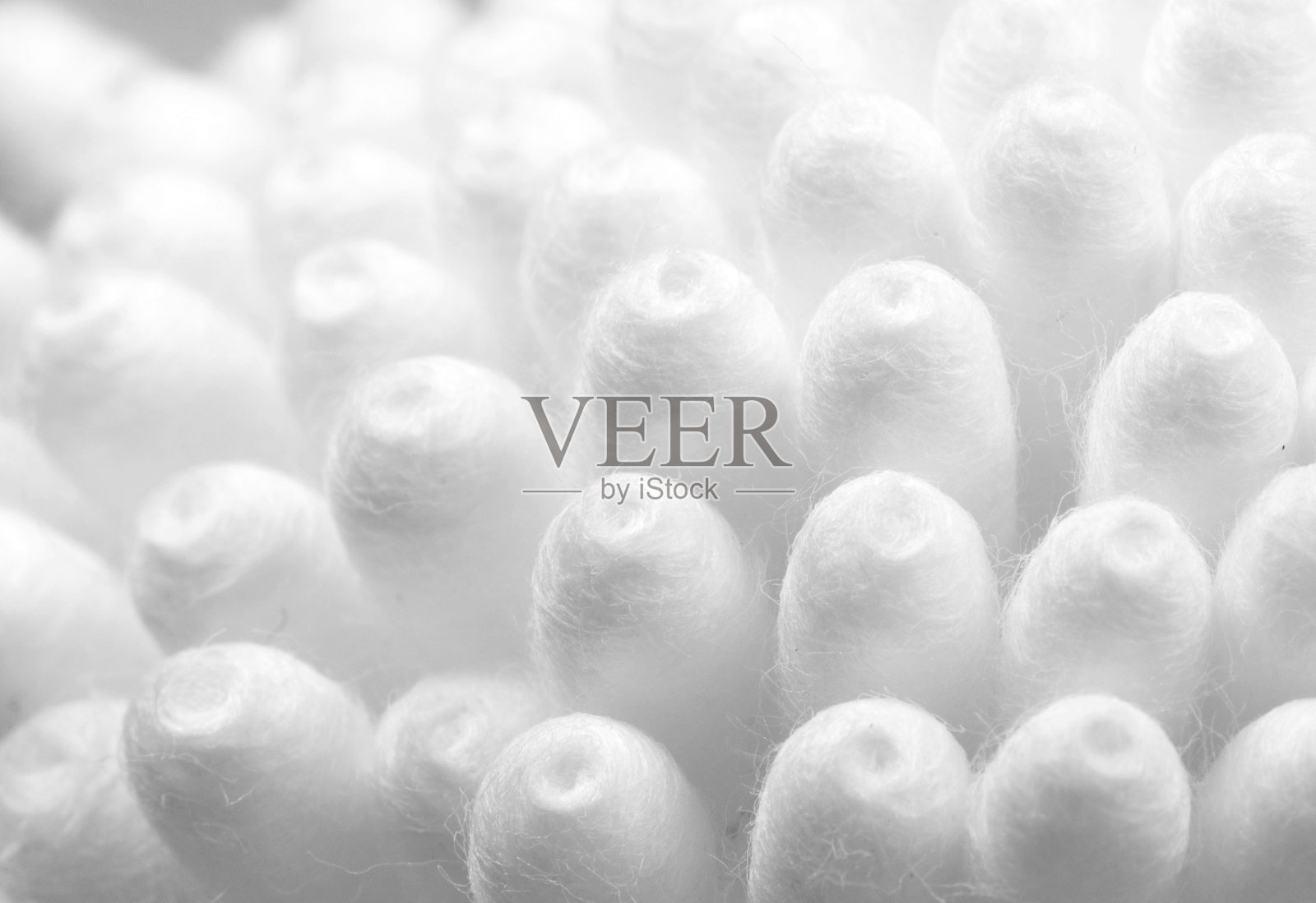 味蕾照片摄影图片