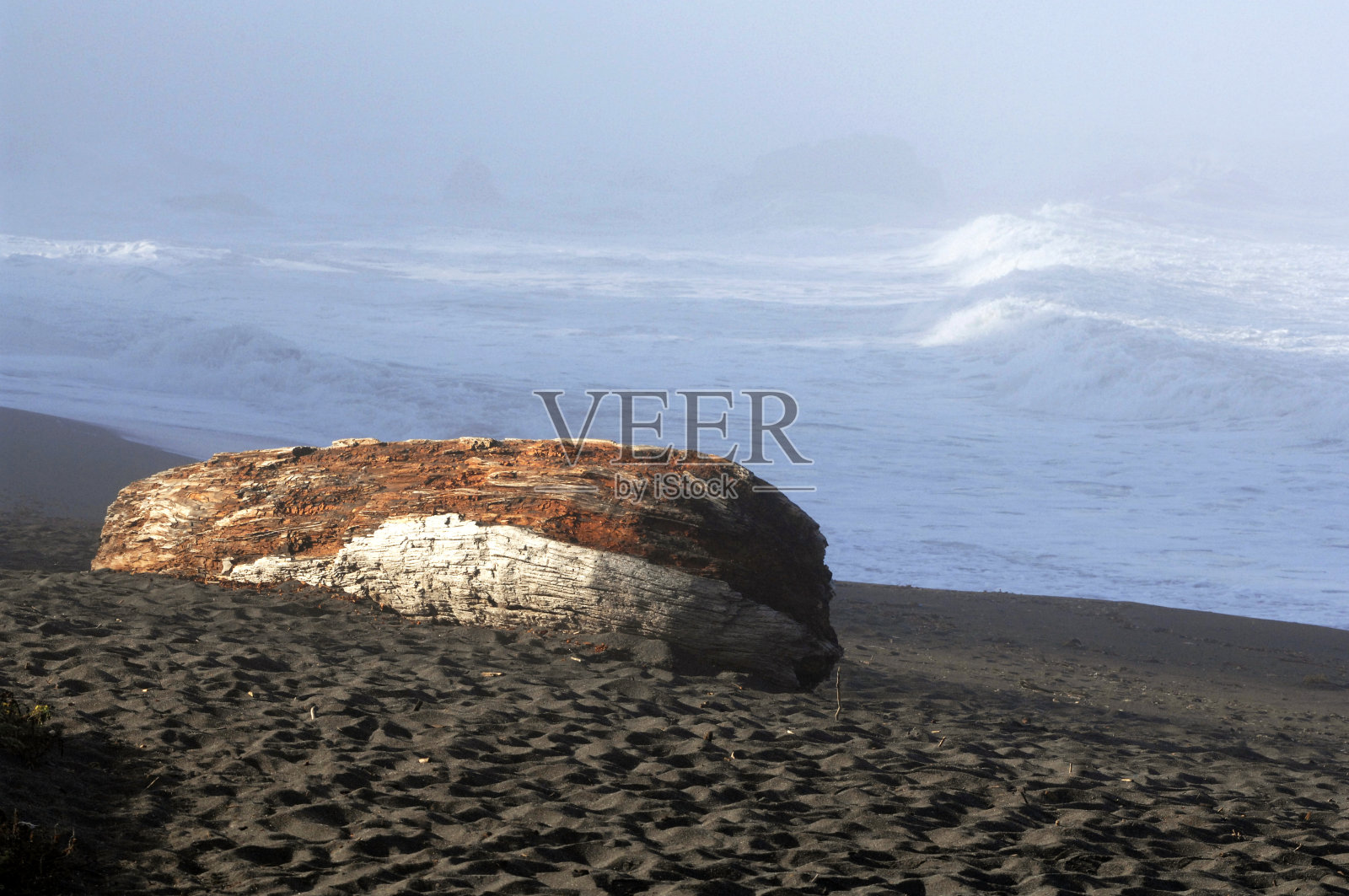 浮木照片摄影图片