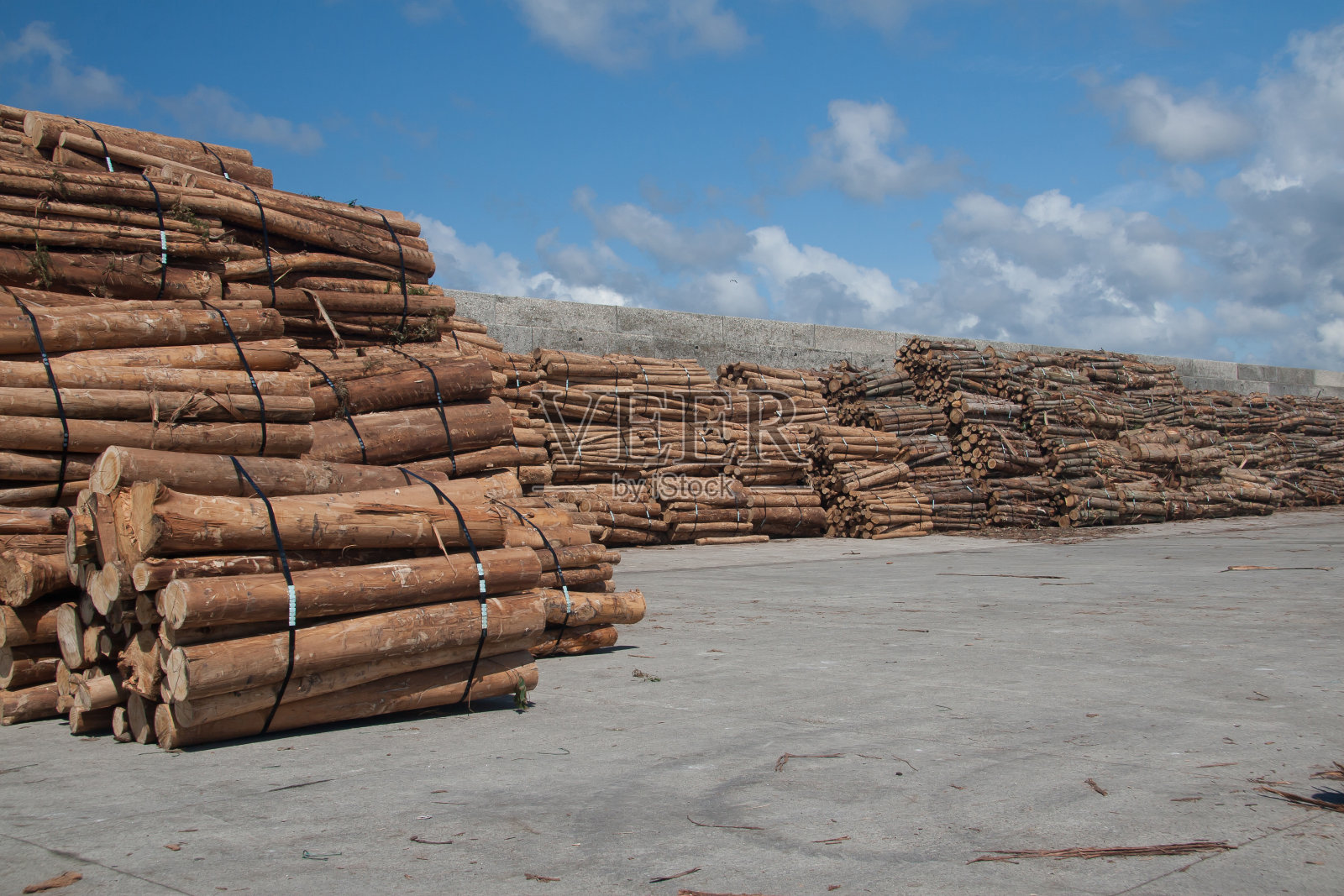 木照片摄影图片