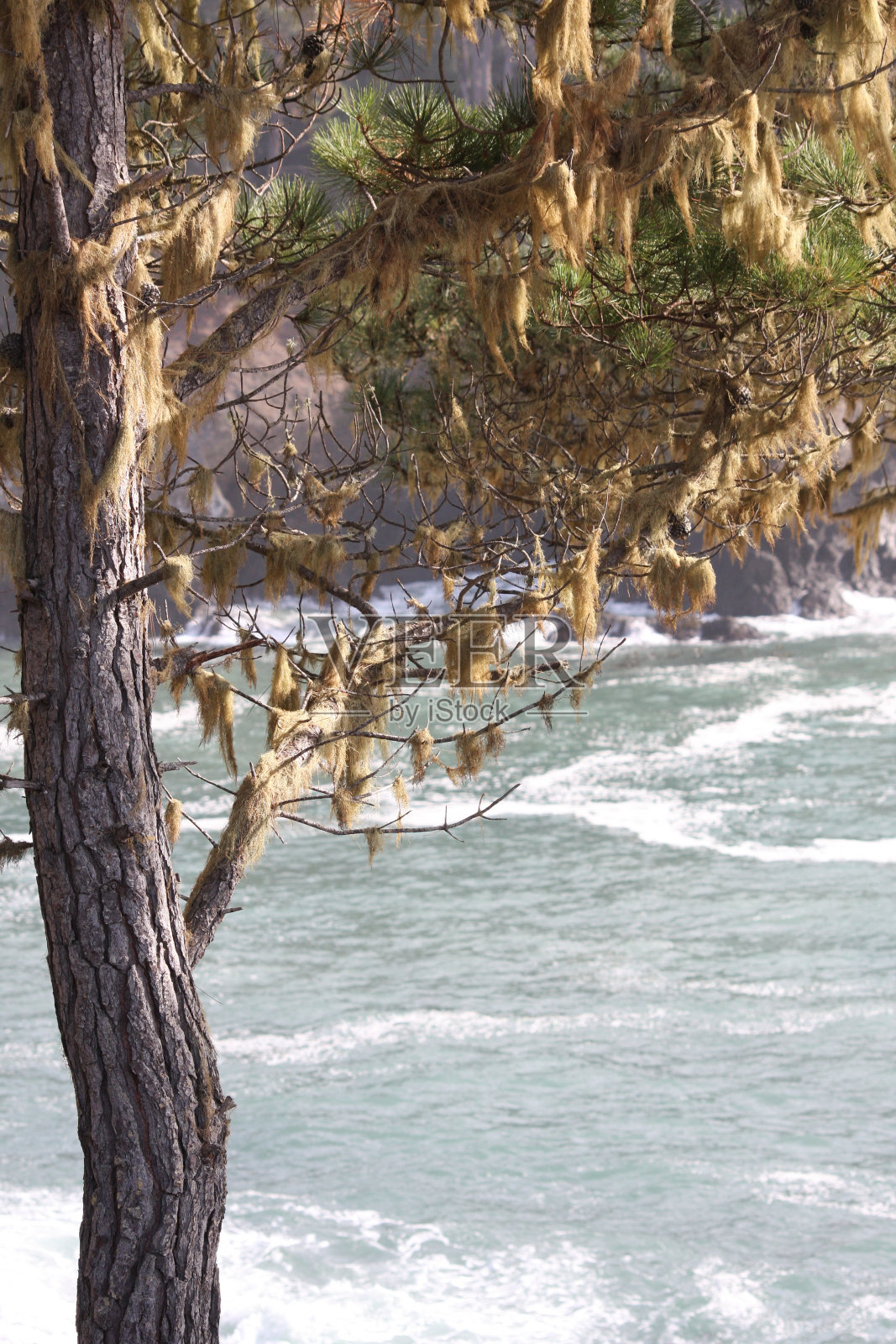 站在骄傲照片摄影图片