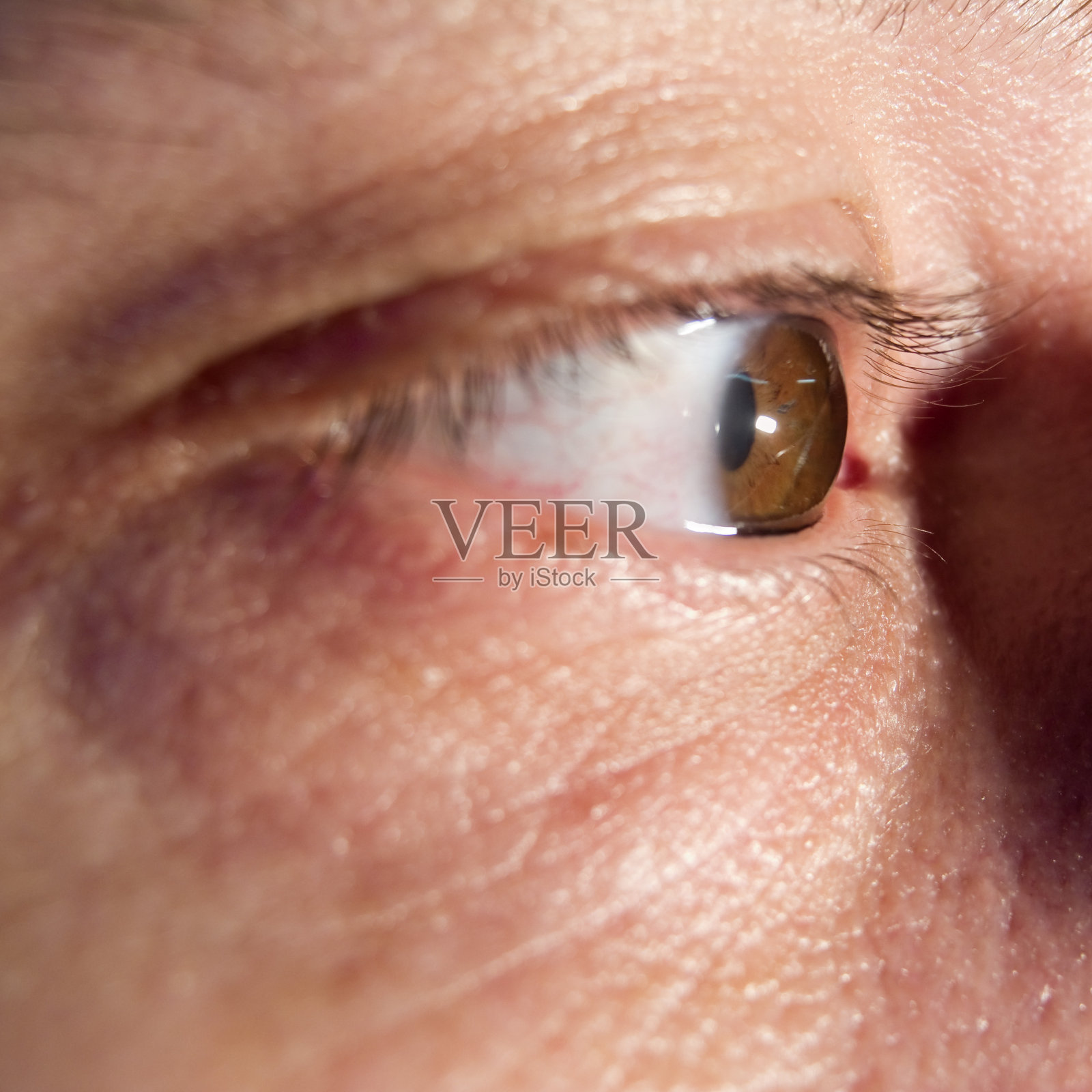 近景的眼睛侧视图照片摄影图片