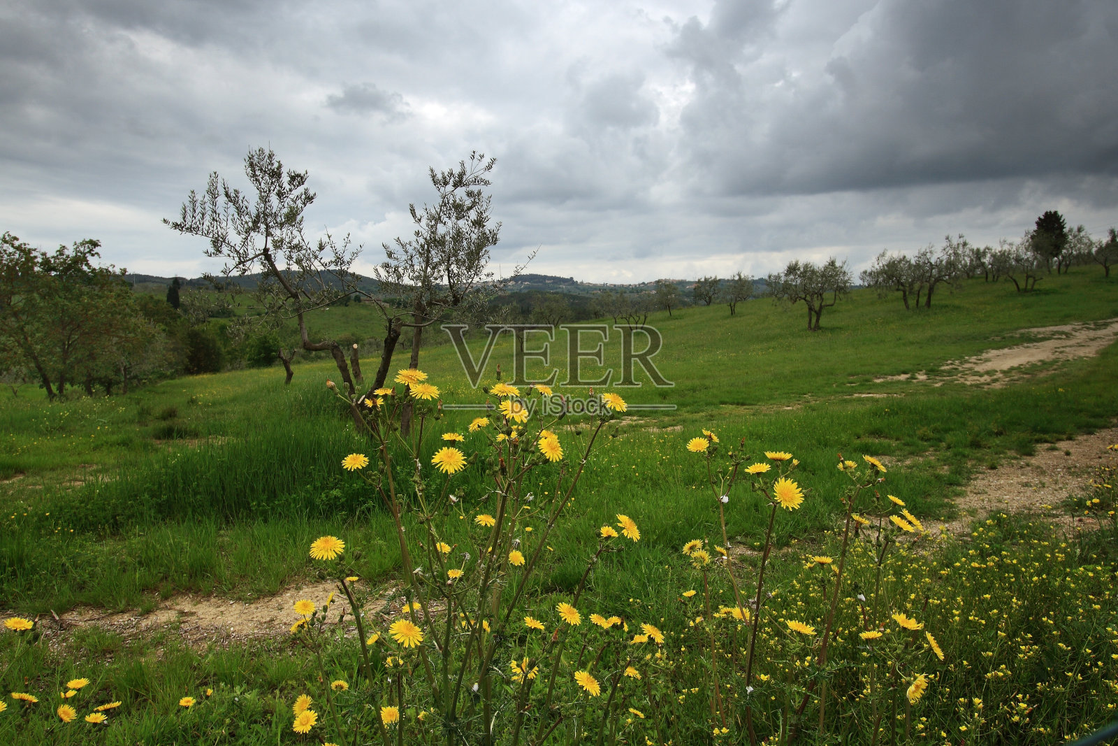 托斯卡纳照片摄影图片
