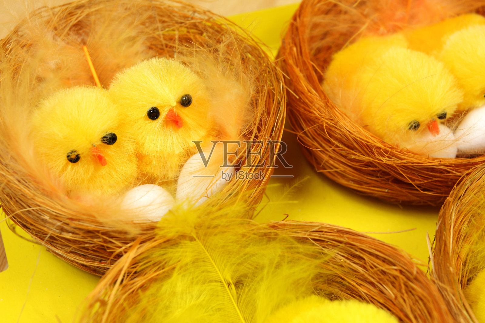 复活节小鸡照片摄影图片