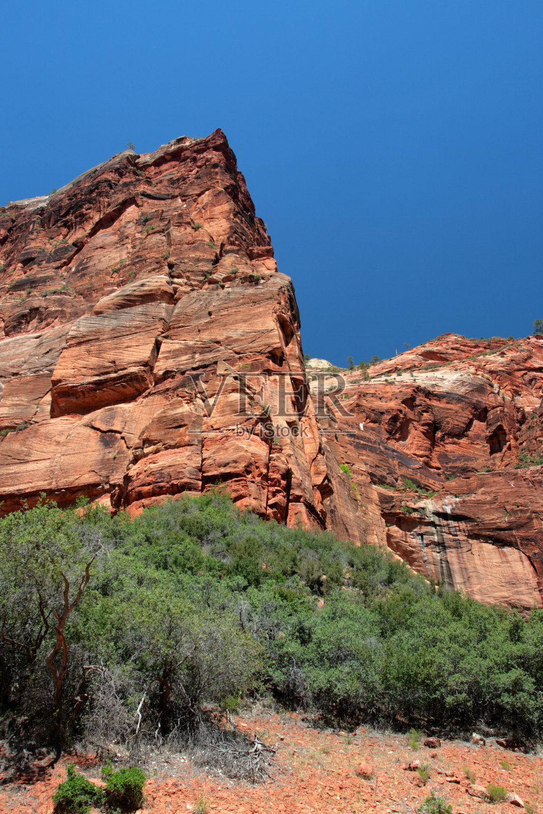 美国锡安国家公园照片摄影图片