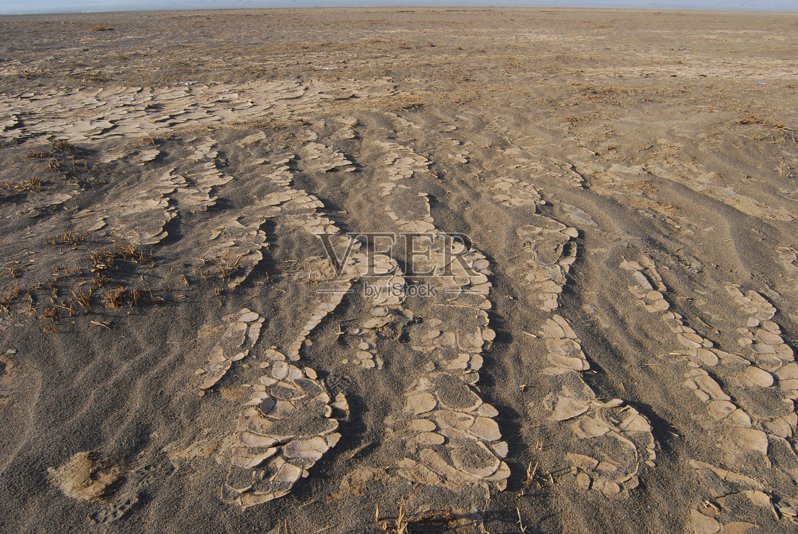 这个区域意味着死亡照片摄影图片
