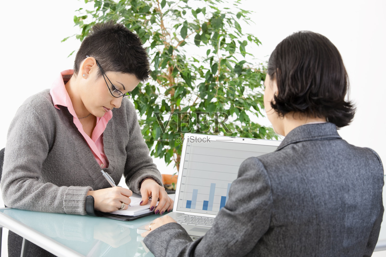 展示图照片摄影图片