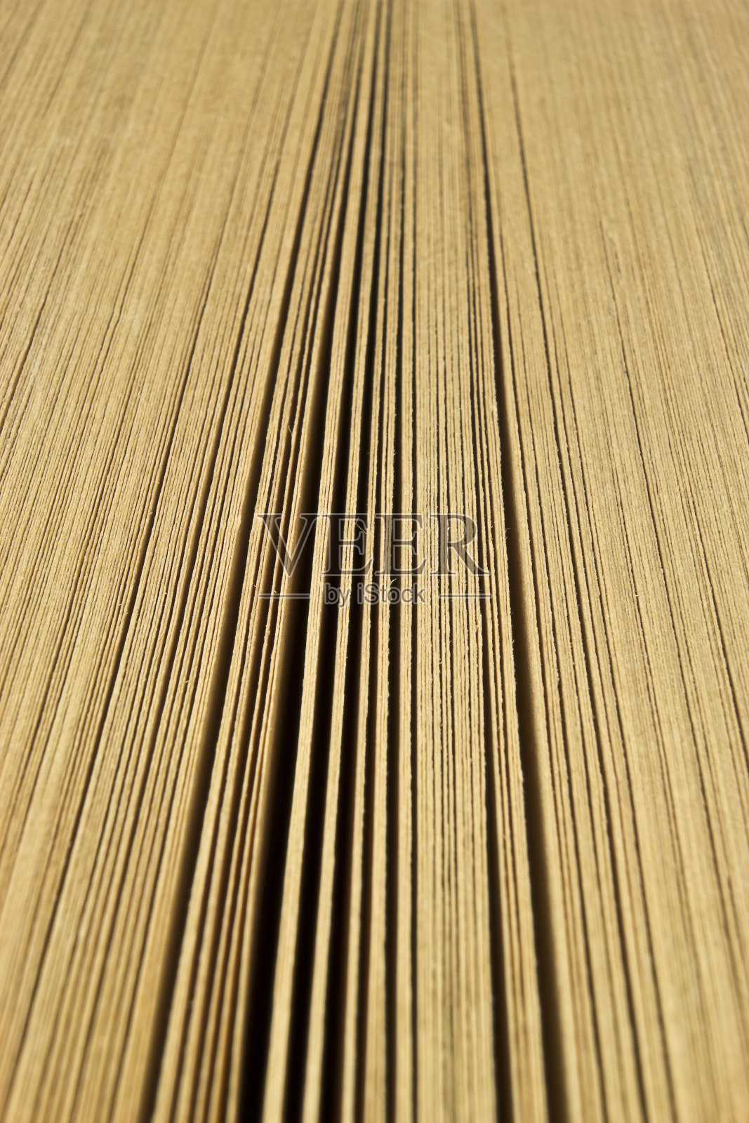 旧书页宏照片摄影图片