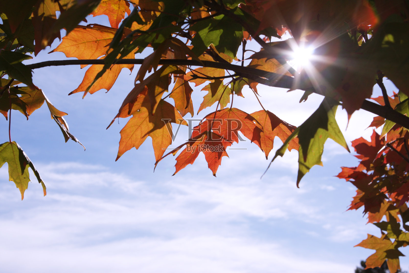 秋天照片摄影图片