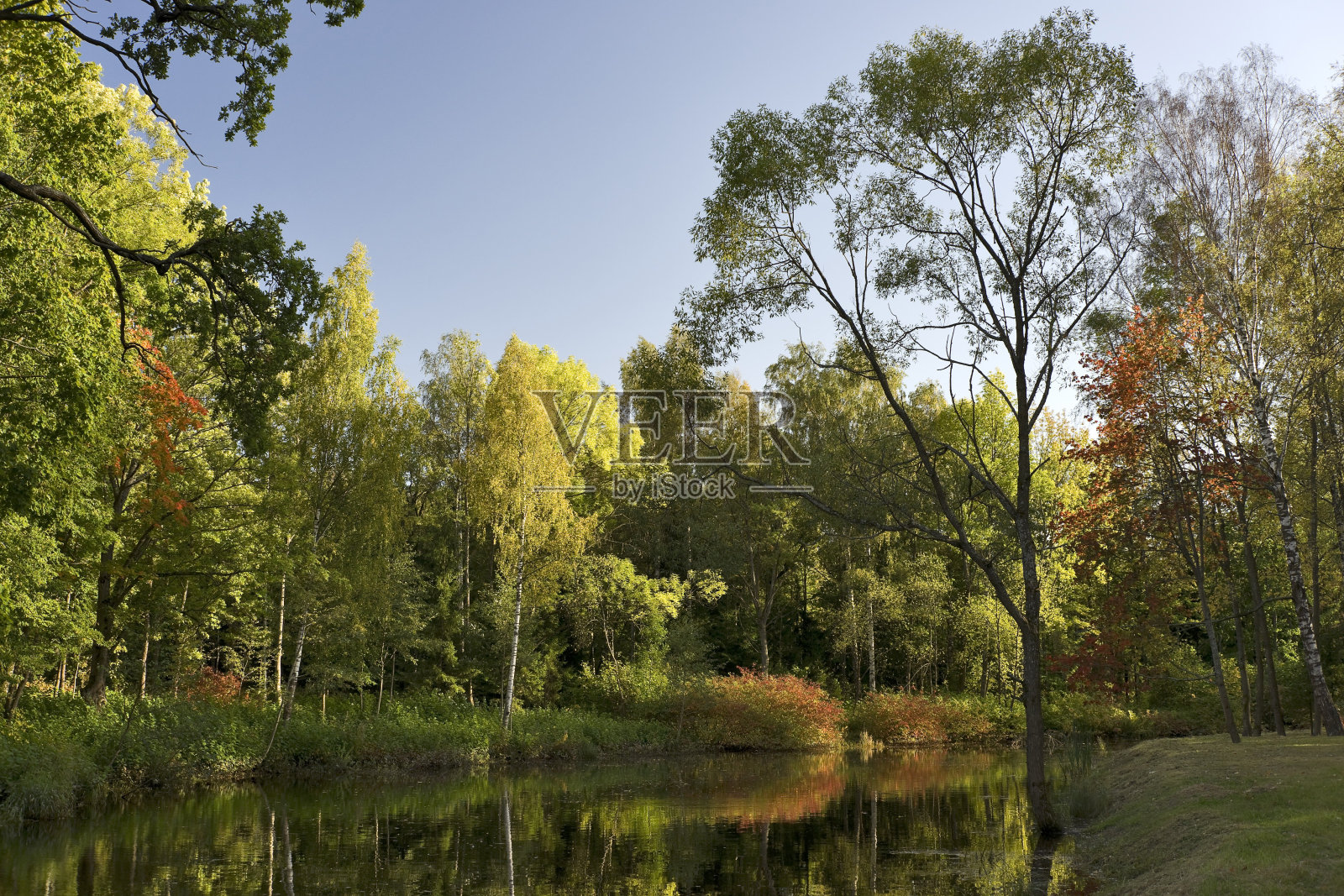 秋天的公园照片摄影图片