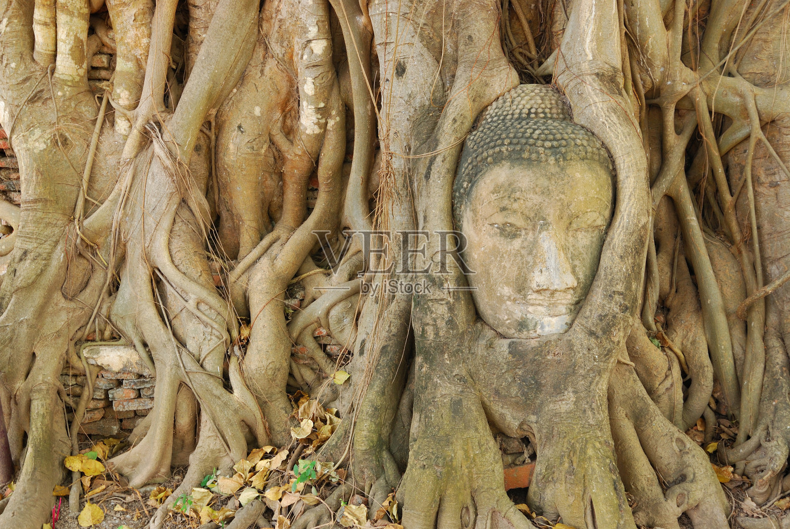 佛头照片摄影图片