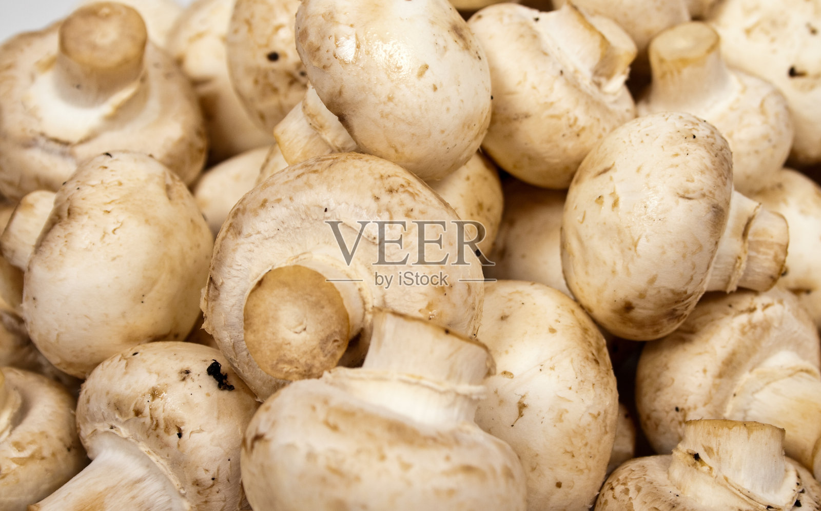 新鲜食用香草背景照片摄影图片