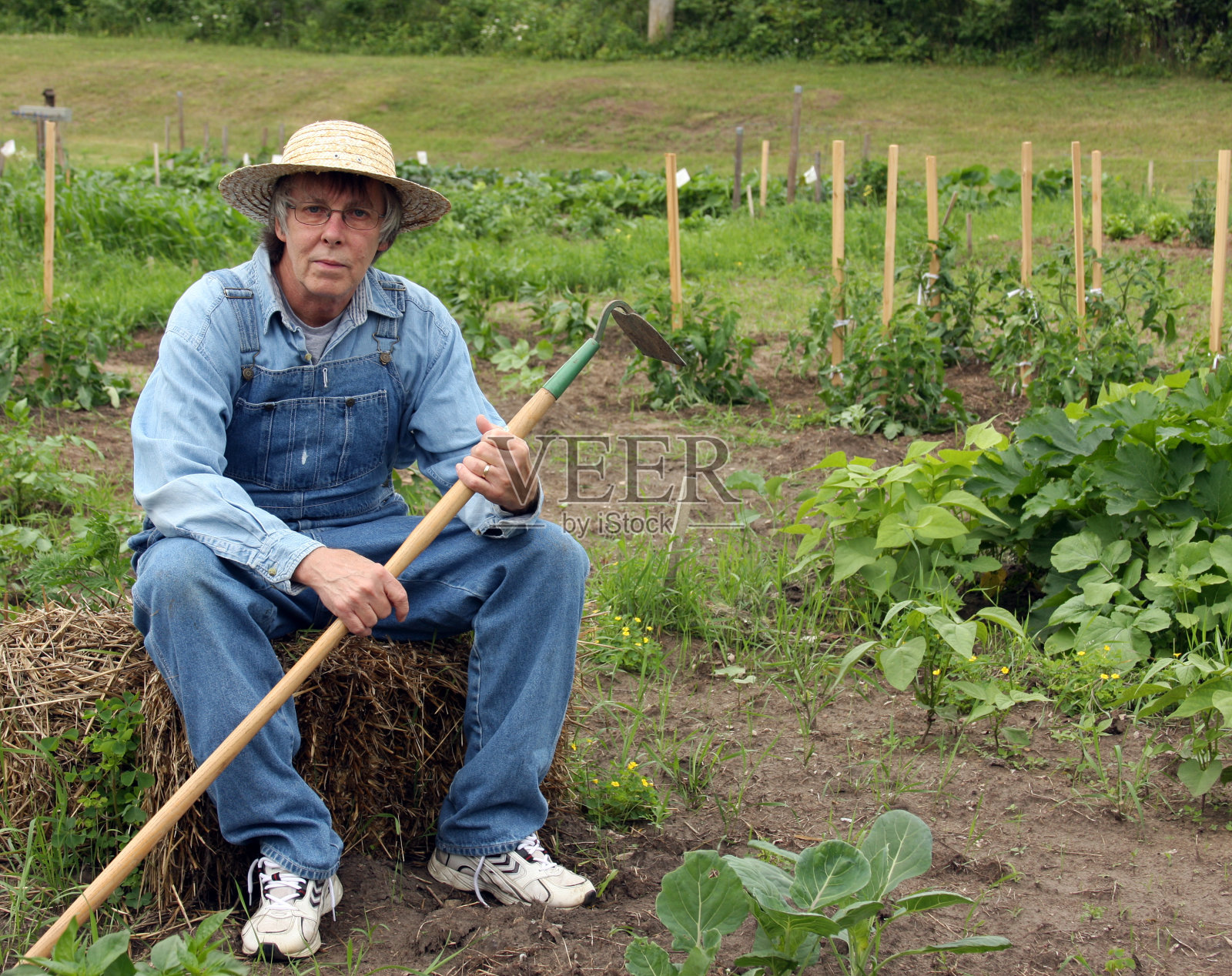 农民在稻草捆上照片摄影图片