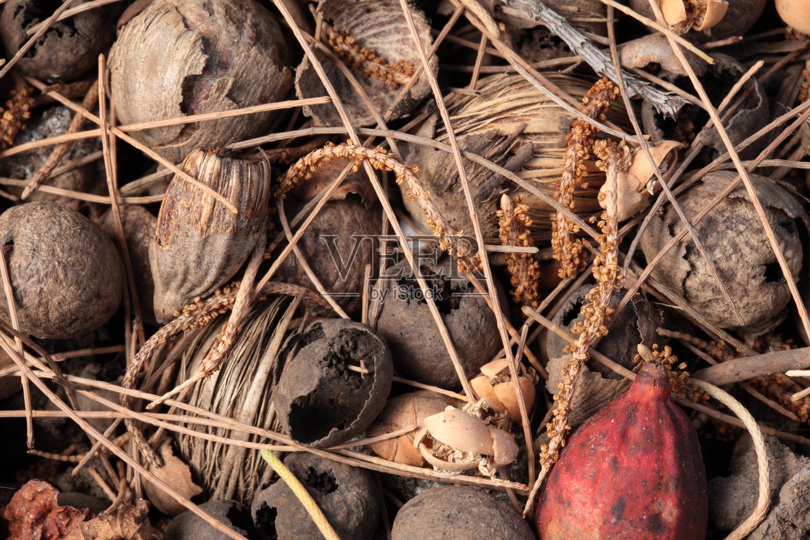废弃的照片摄影图片