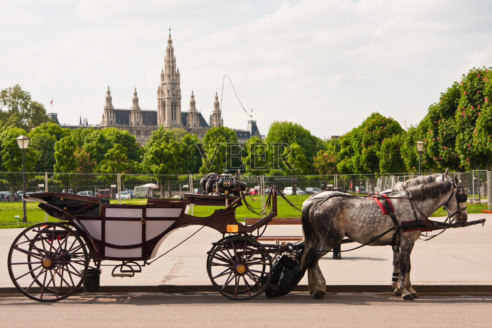 市议会厅奥地利的维也纳照片摄影图片