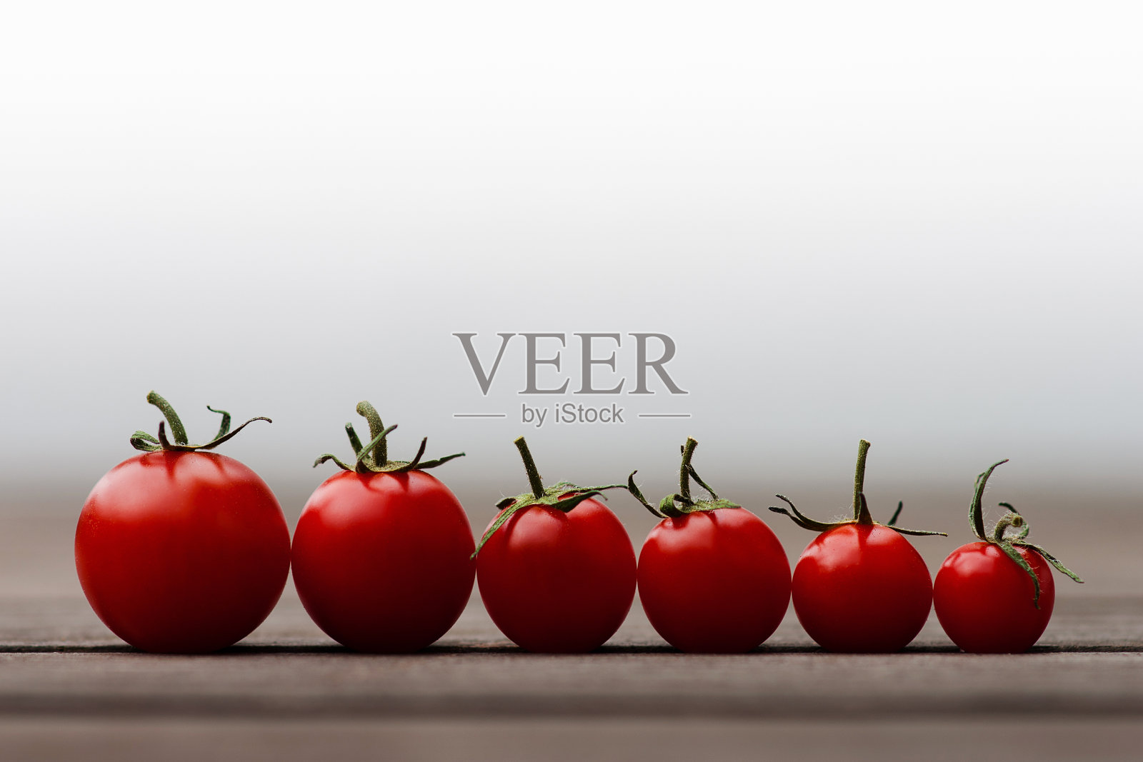 番茄家族照片摄影图片