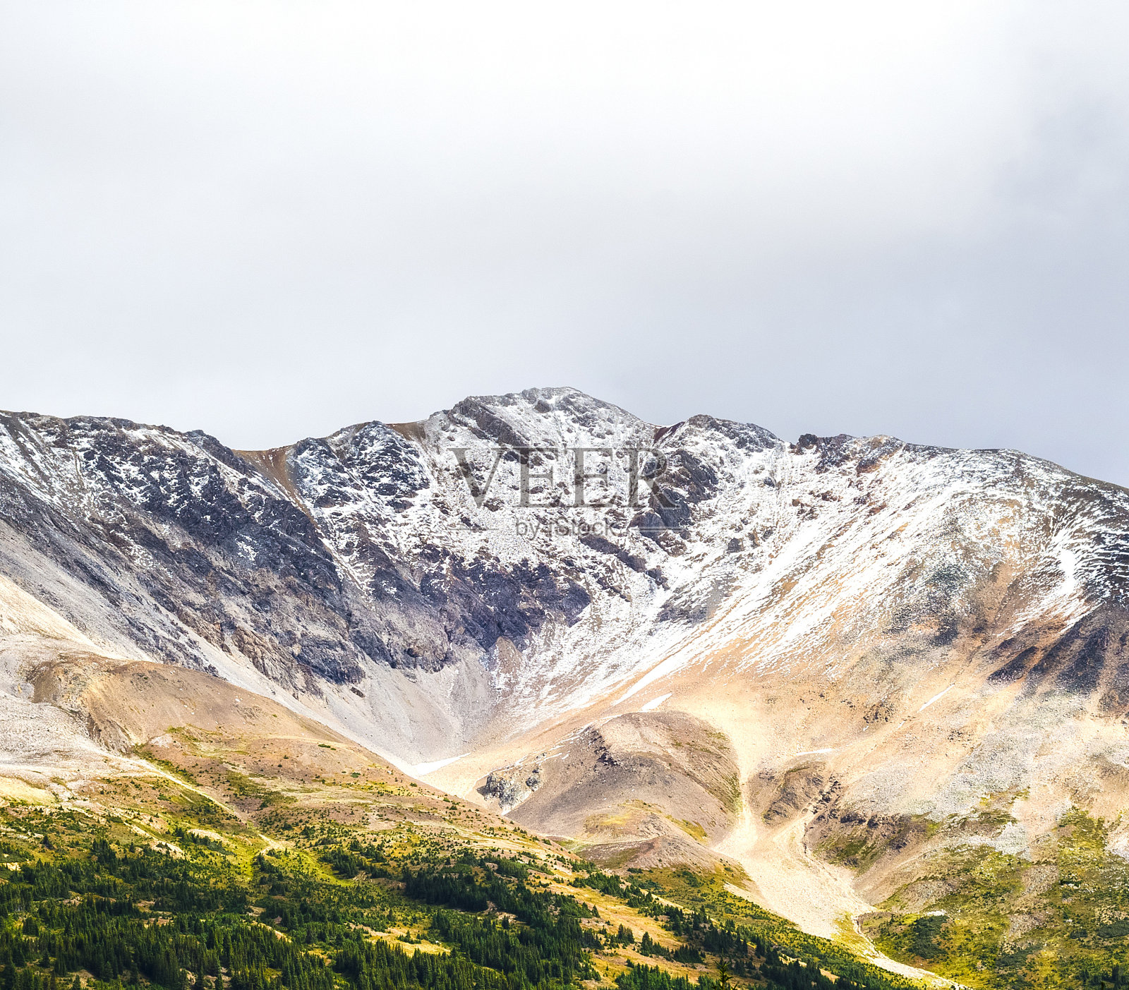 加拿大落基山脉的雪山顶照片摄影图片