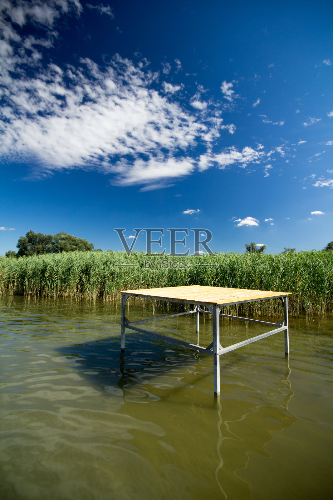 里德在湖照片摄影图片