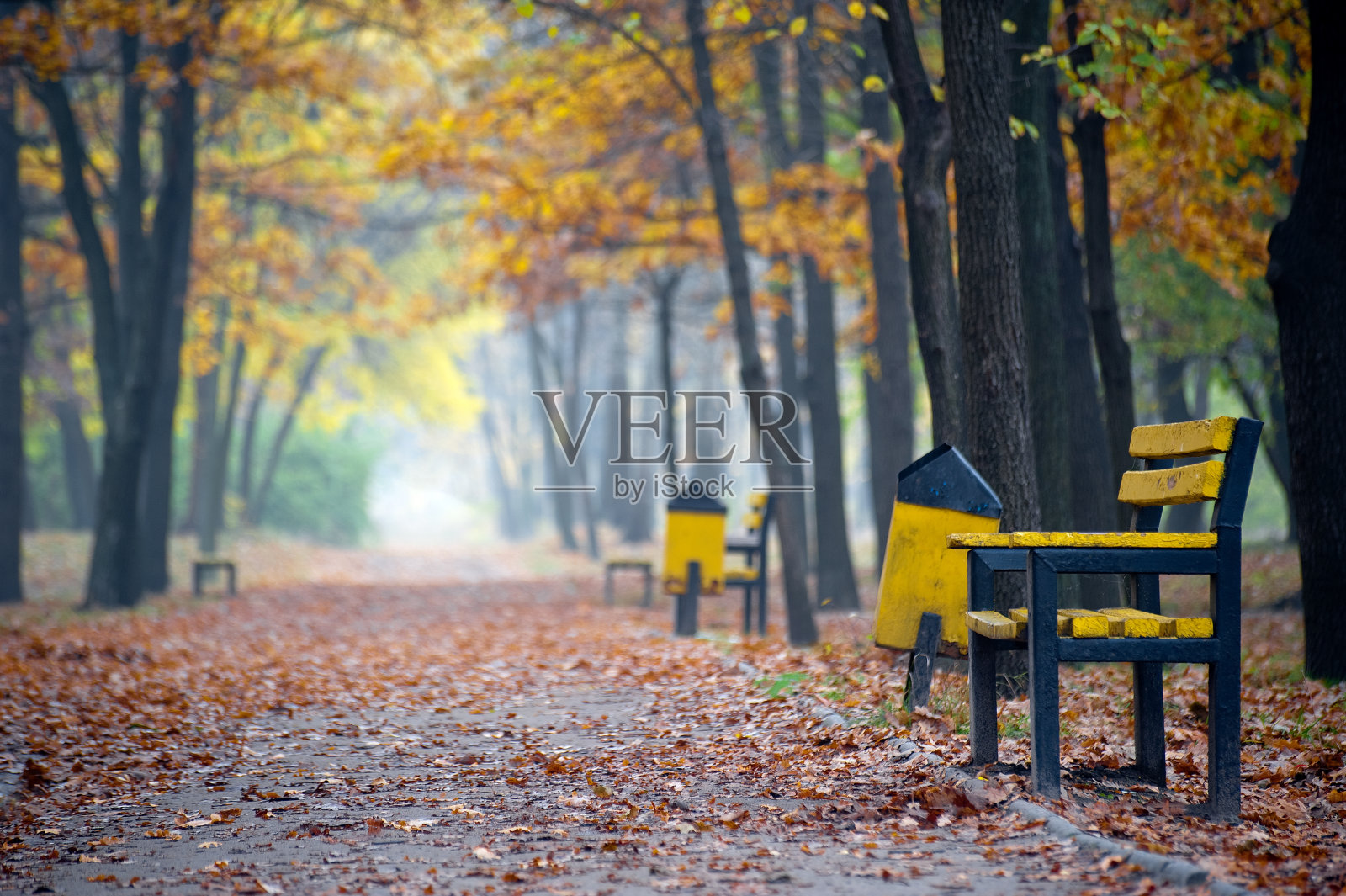 秋天的风景照片摄影图片