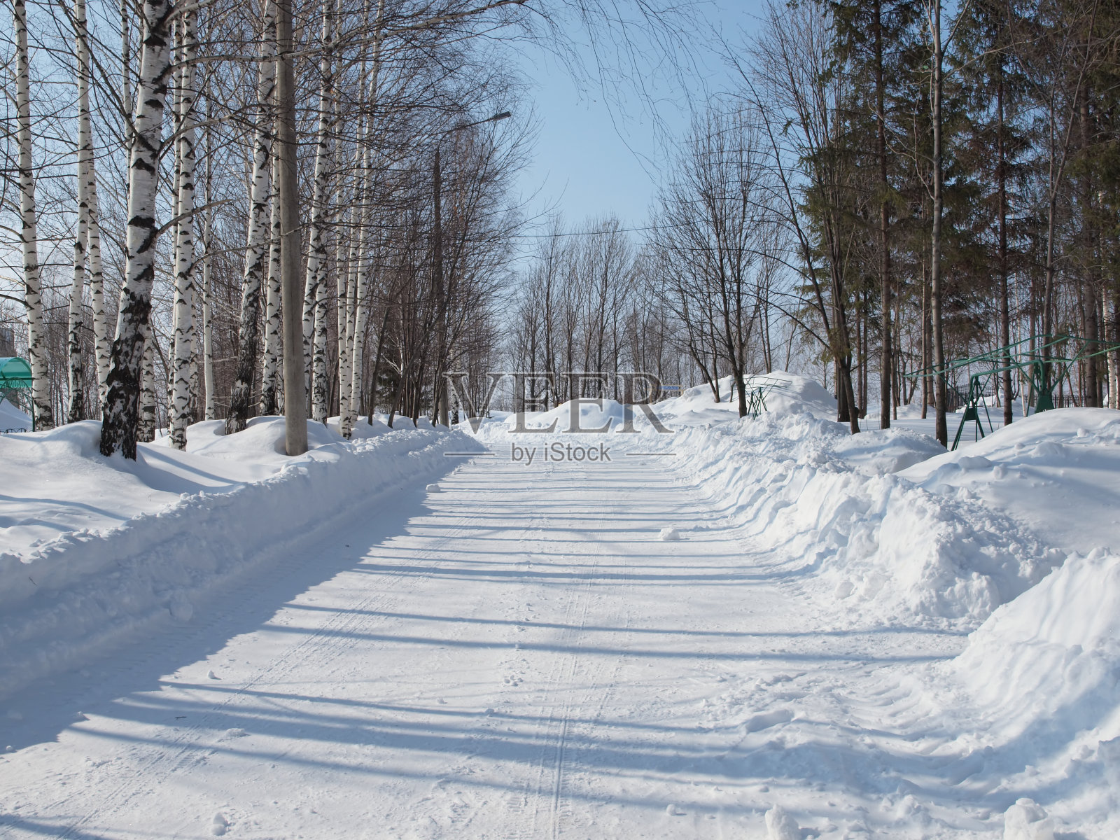 清除了树木间的冬季道路照片摄影图片