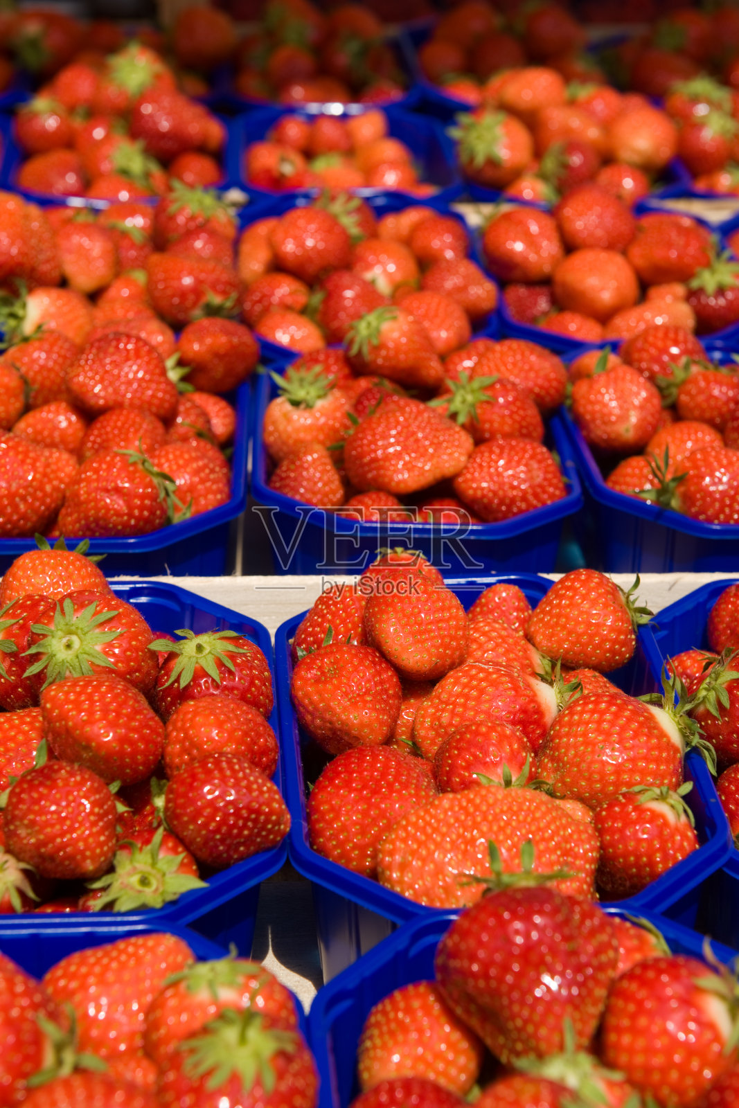 草莓照片摄影图片