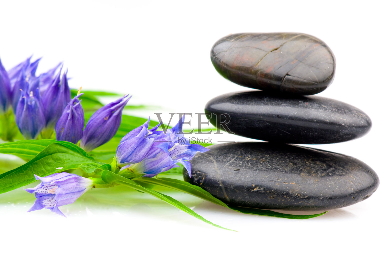 Spa静物照片摄影图片