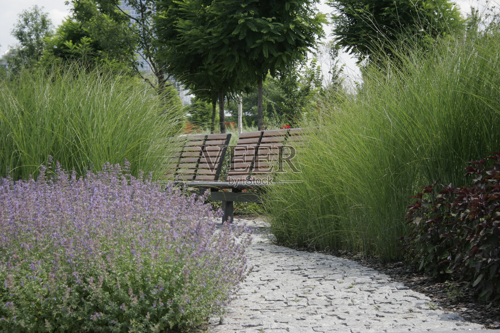 舒适的花园照片摄影图片