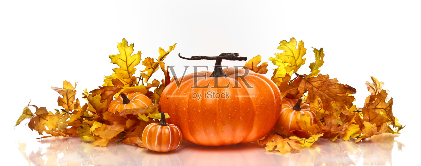 南瓜和秋天的叶子在白色的背景照片摄影图片