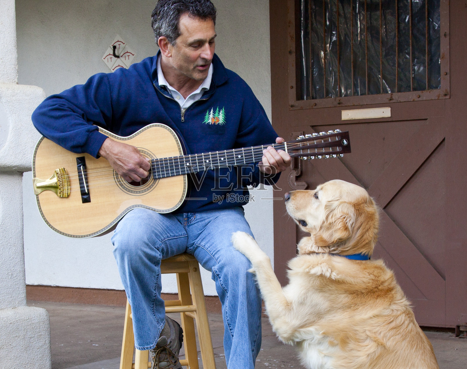 狗爪子吉他手照片摄影图片