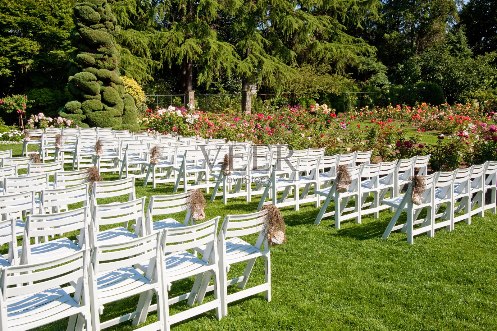 公园里的椅子照片摄影图片