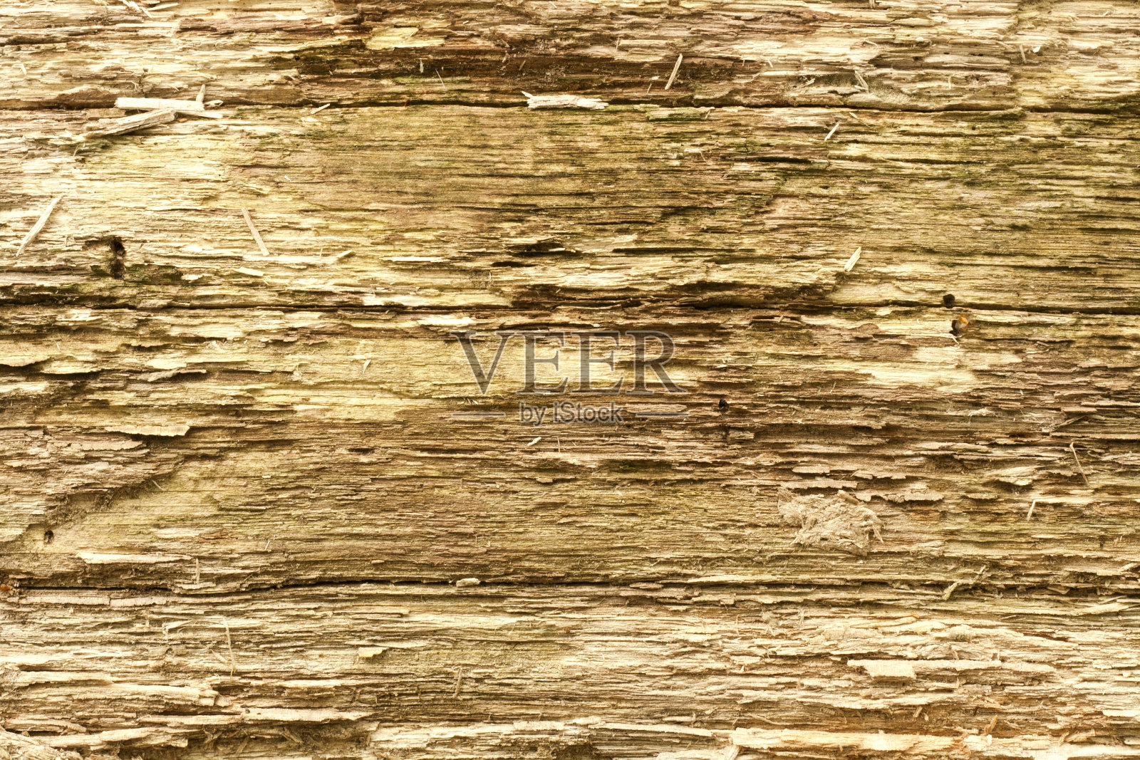 树皮背景照片摄影图片