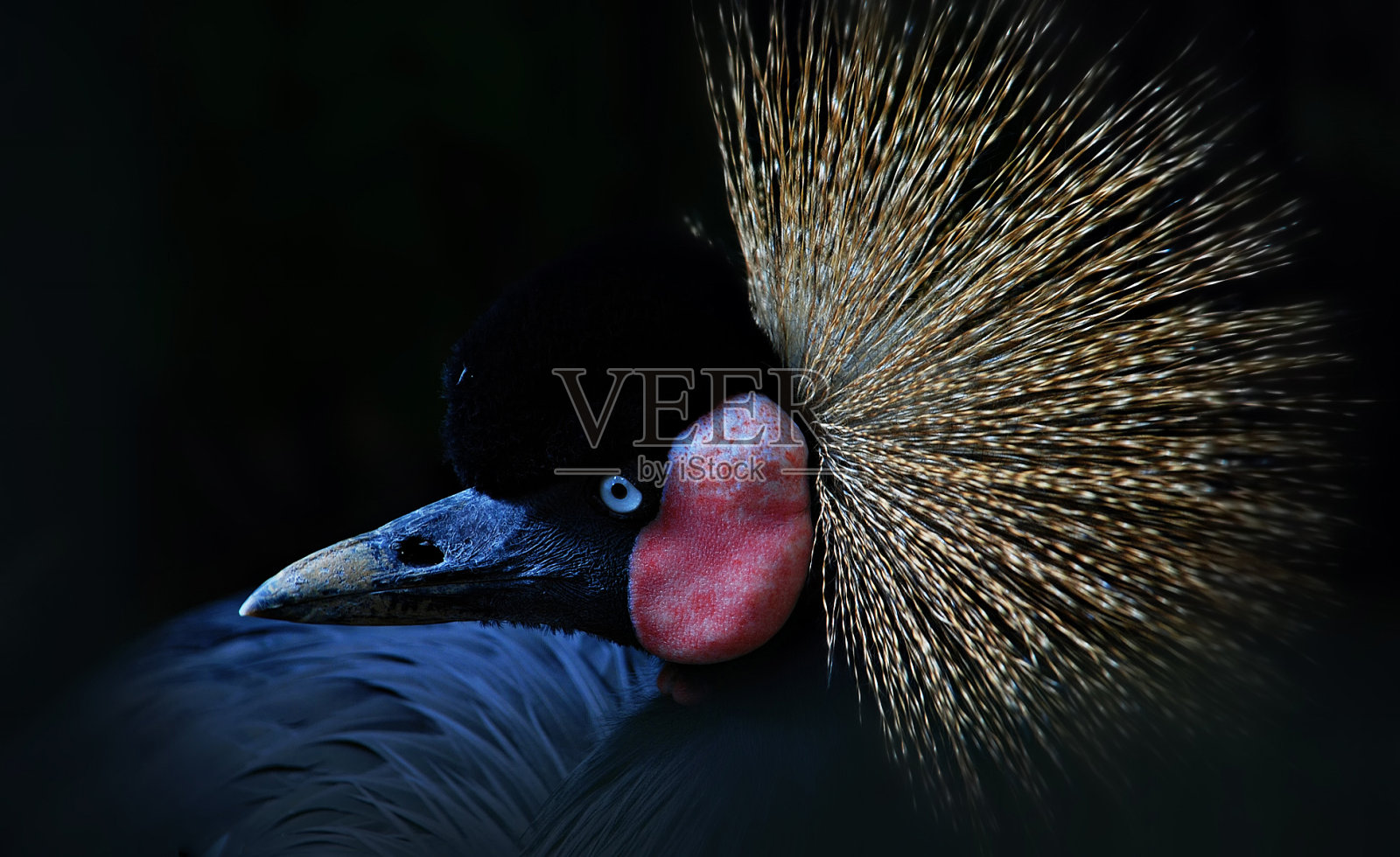 起重机照片摄影图片