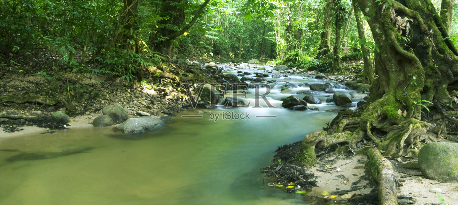 热带森林与河流照片摄影图片