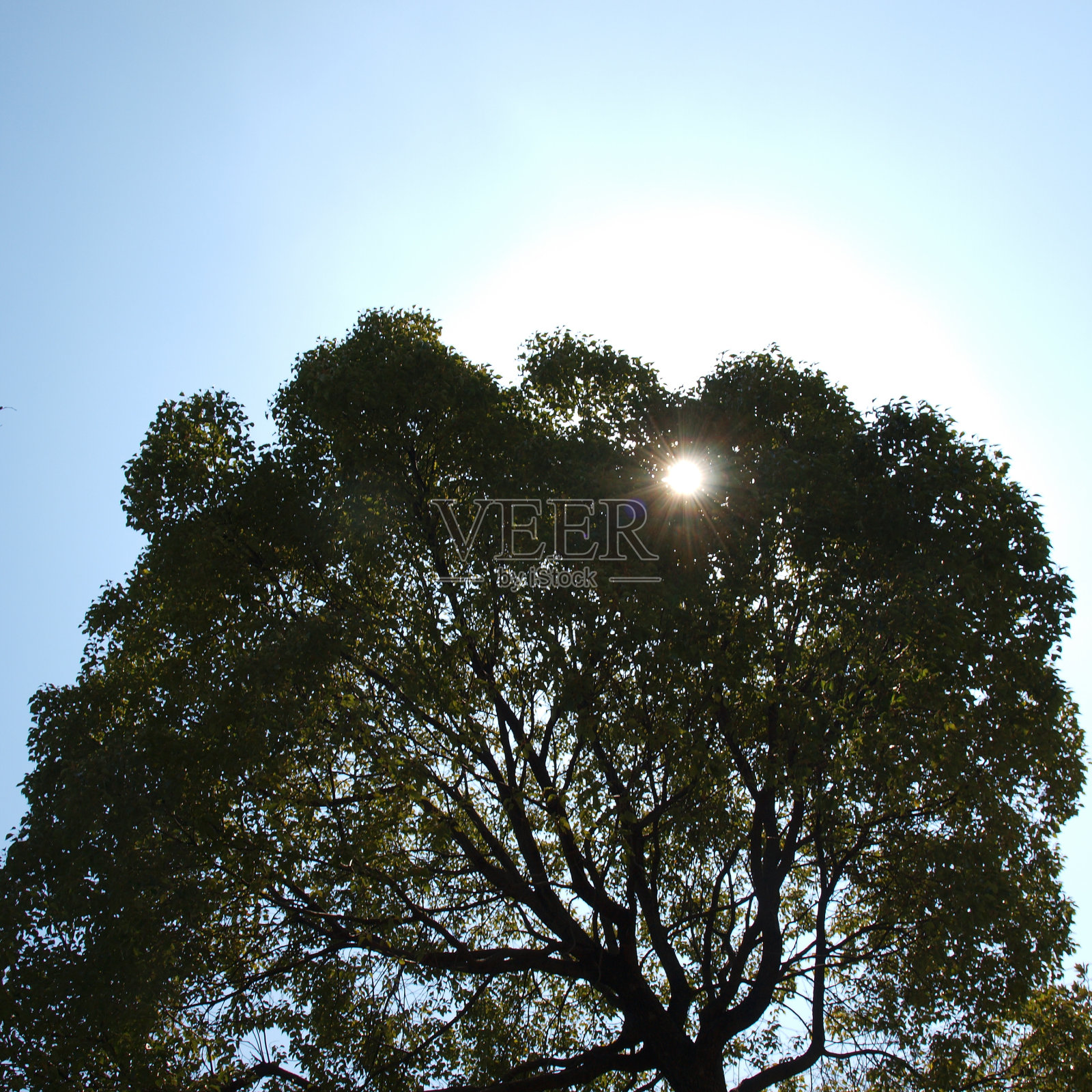 太阳光束照片摄影图片
