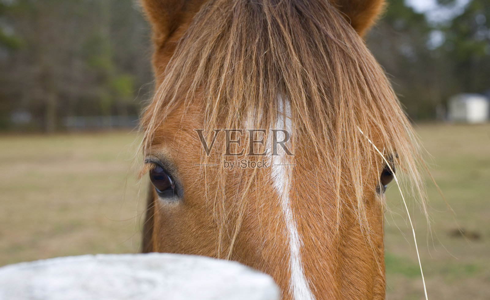 同位穿孔检索照片摄影图片