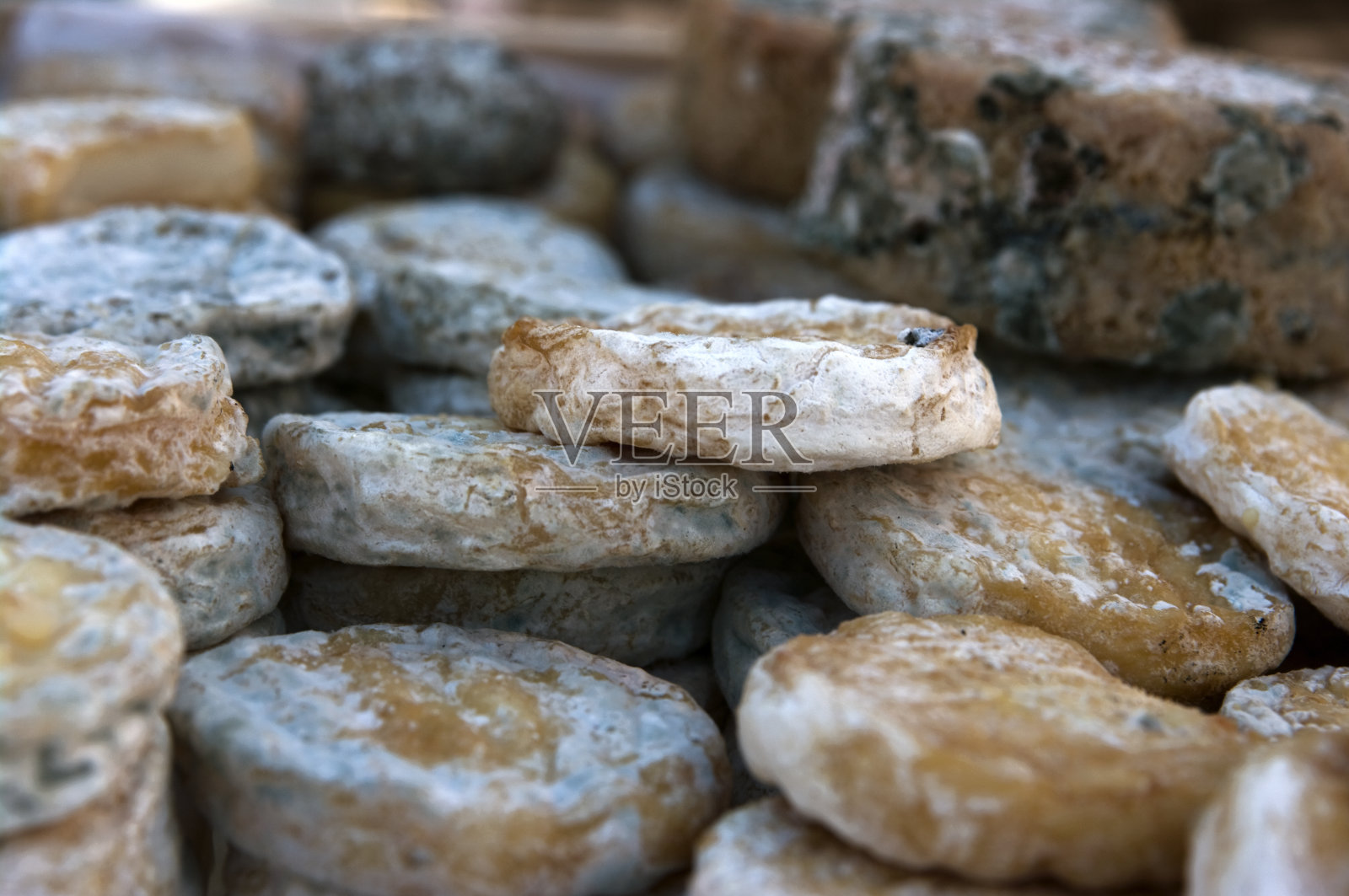 平的山羊奶酪照片摄影图片