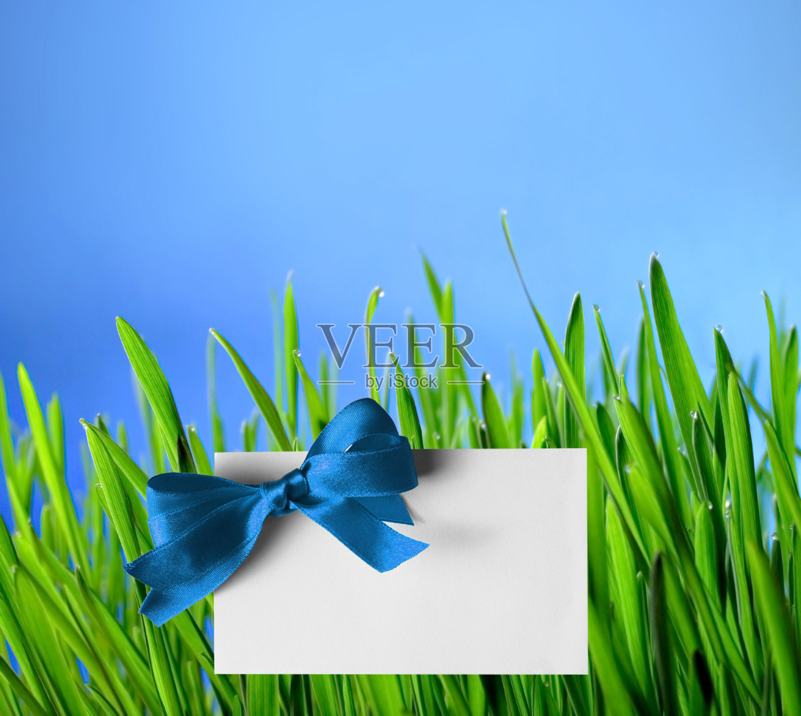 空白的礼物标签照片摄影图片