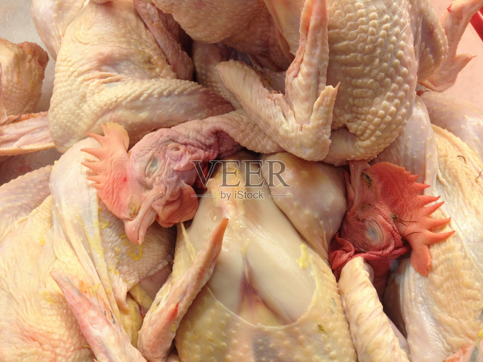 市场上有头的鸡照片摄影图片