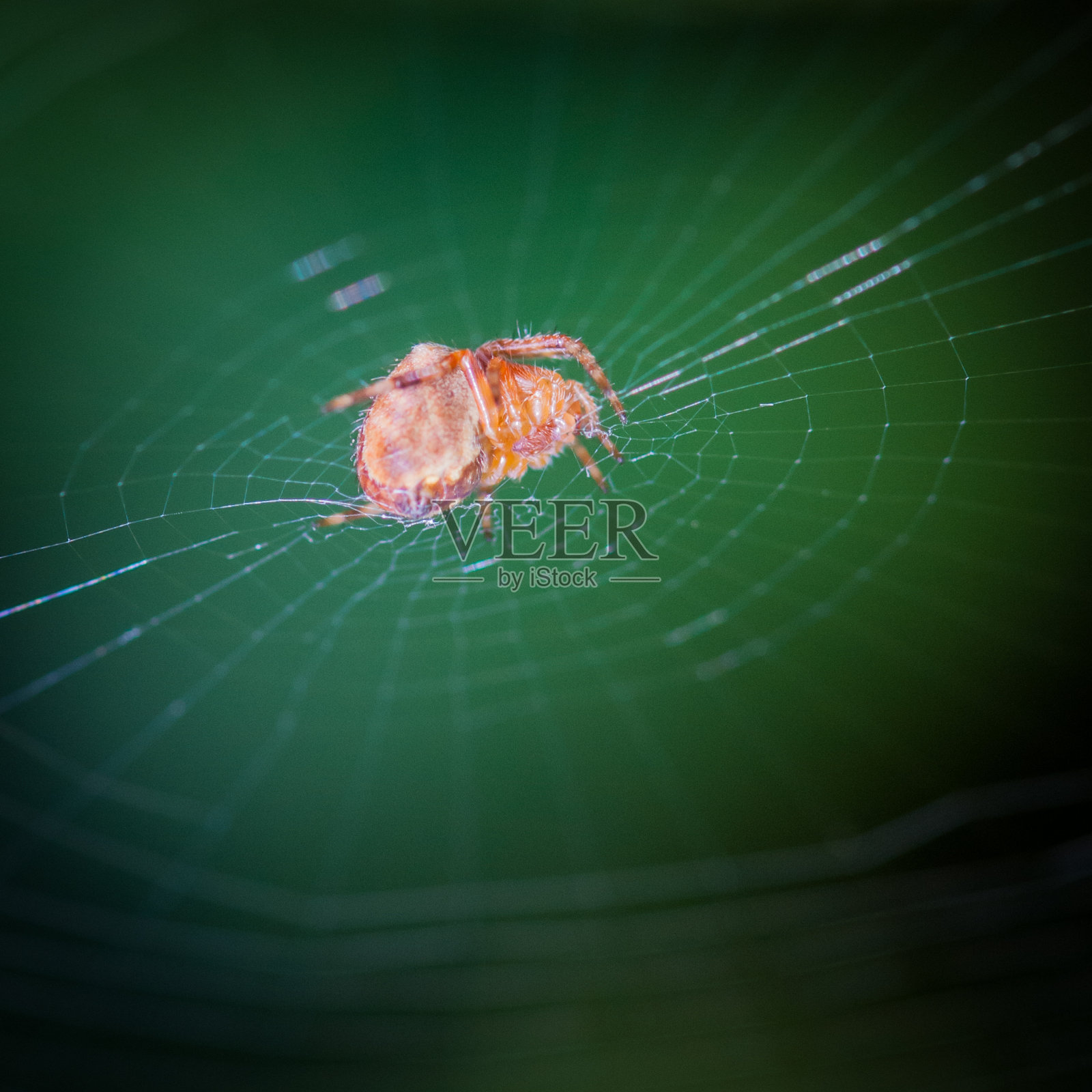 准备罢工照片摄影图片