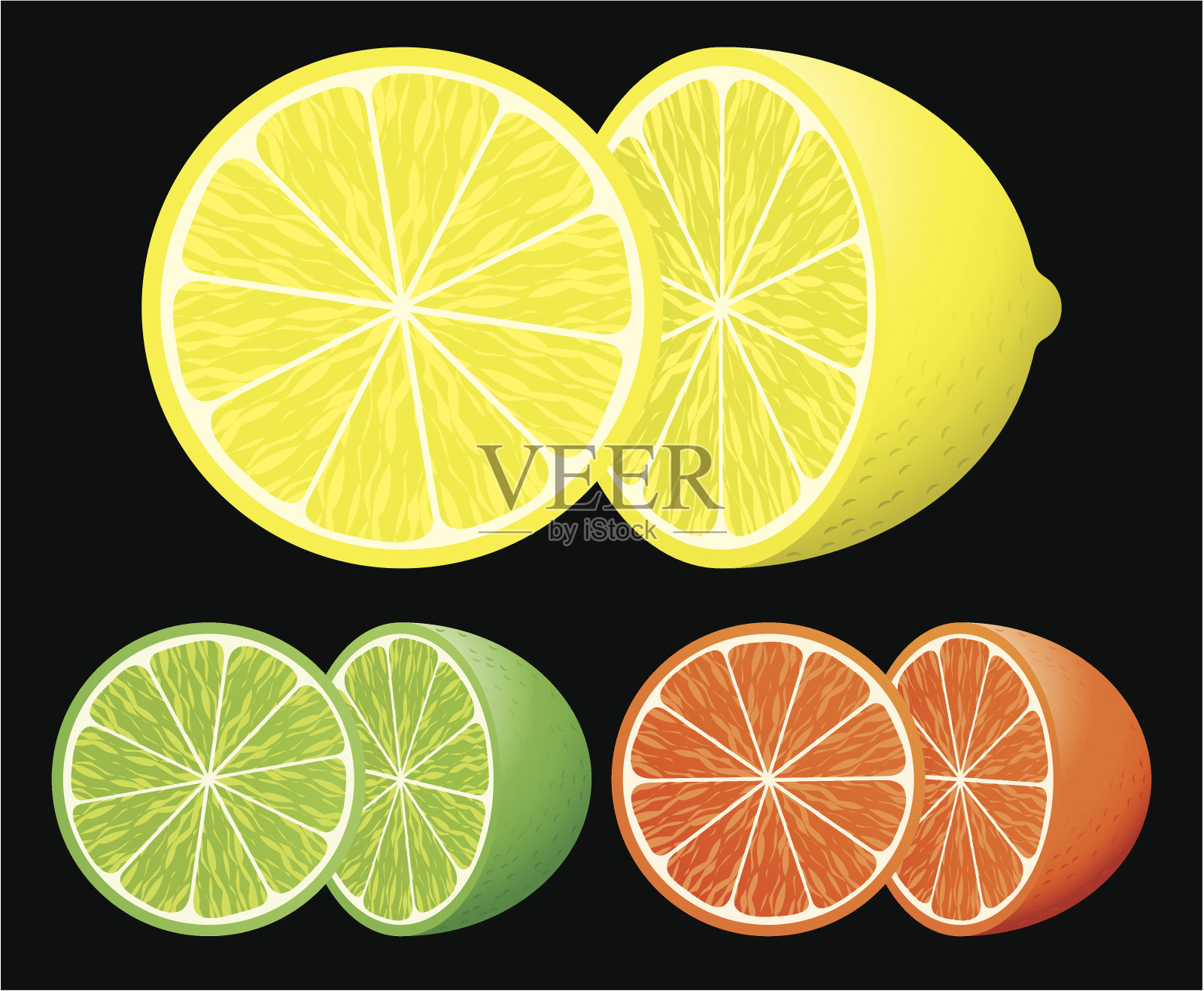 柑橘类水果套装插画图片素材