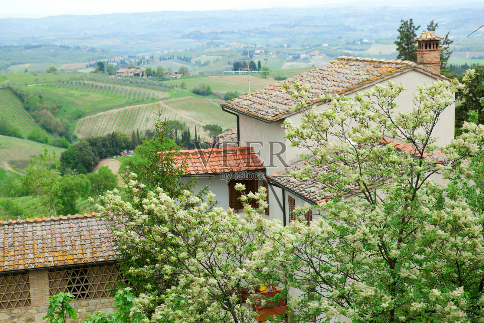 农舍和美丽盛开的树在托斯卡纳，意大利照片摄影图片
