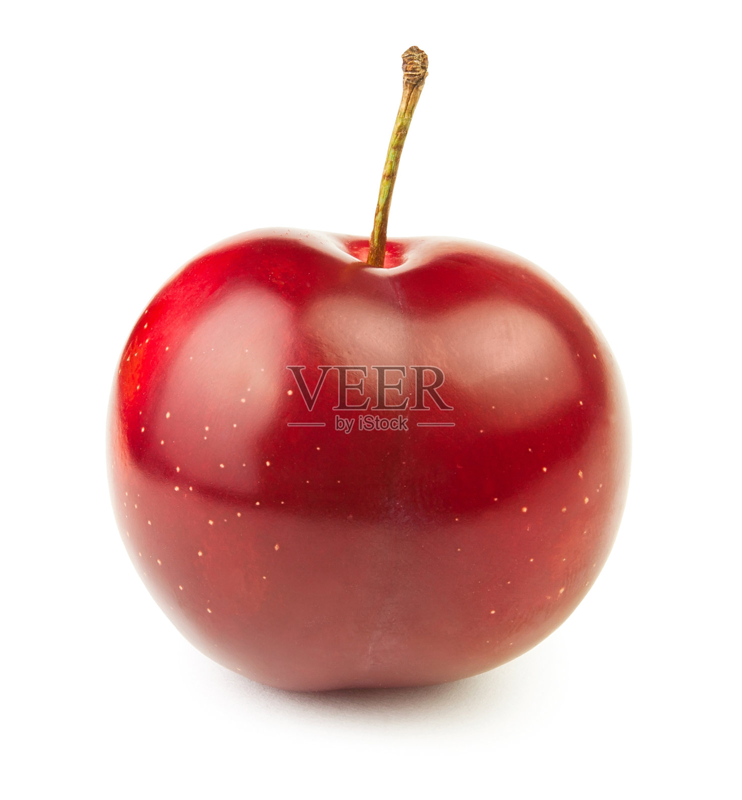 单一的李子照片摄影图片