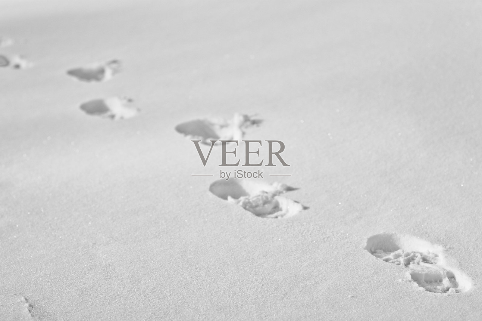 在雪的足迹照片摄影图片