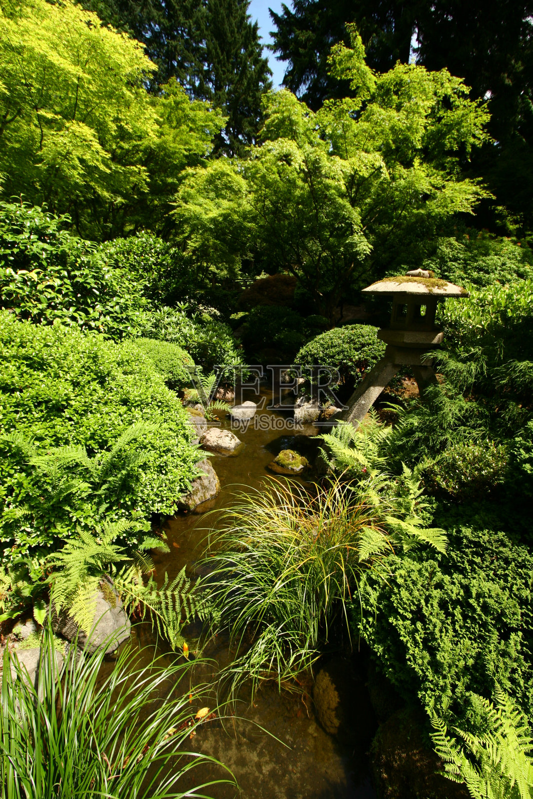 日式花园照片摄影图片