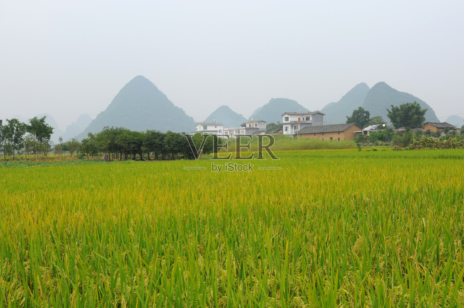 安静的山村照片摄影图片