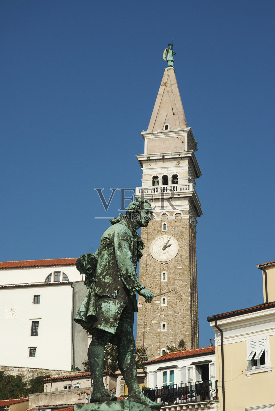 混杀丹照片摄影图片