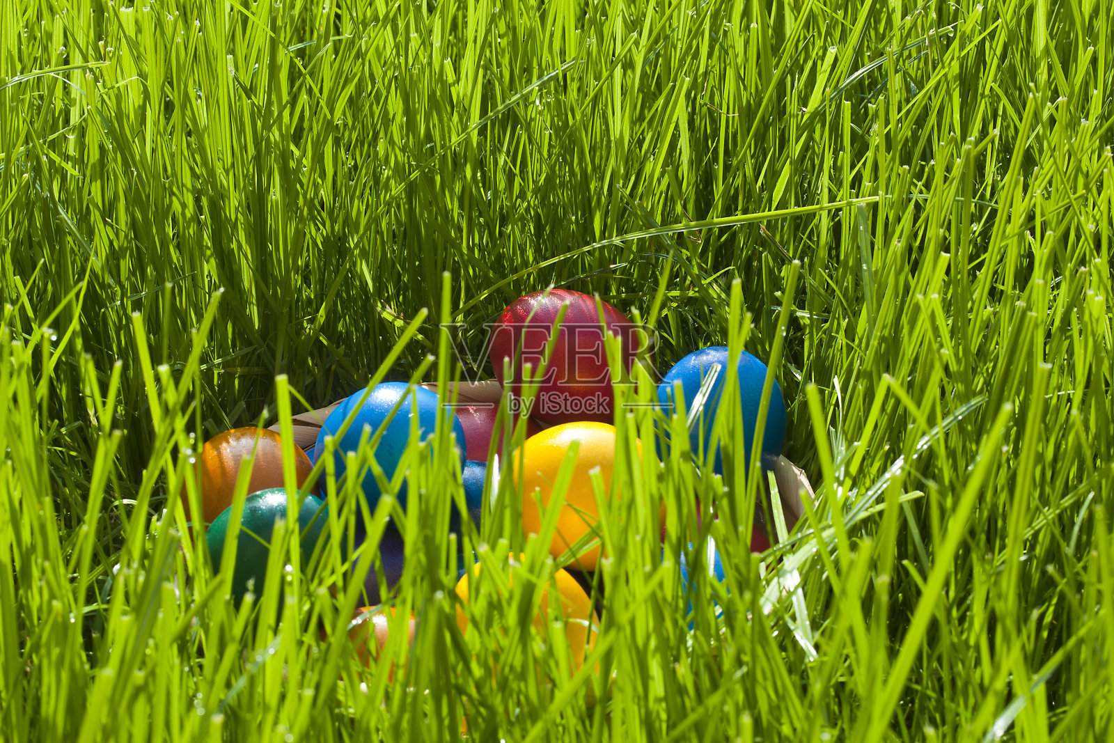 复活节彩蛋照片摄影图片