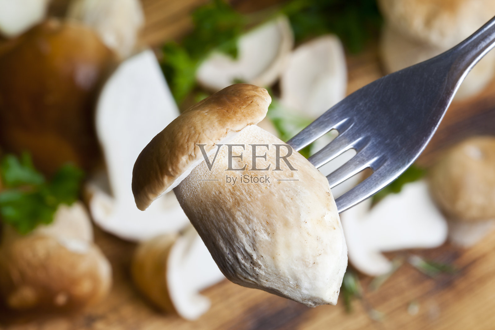 牛肝菌属菌类蘑菇照片摄影图片