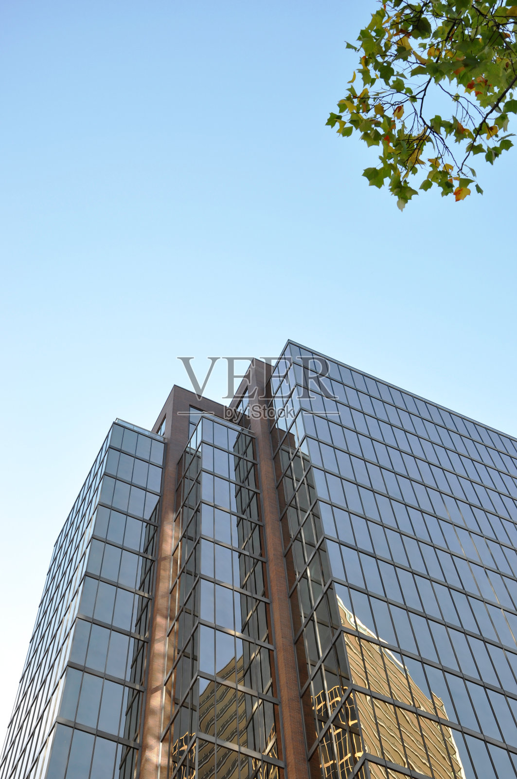 通用的办公大楼照片摄影图片